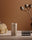 Focus: Lion's Mane Capsules