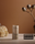 Mushroom Range Bundle